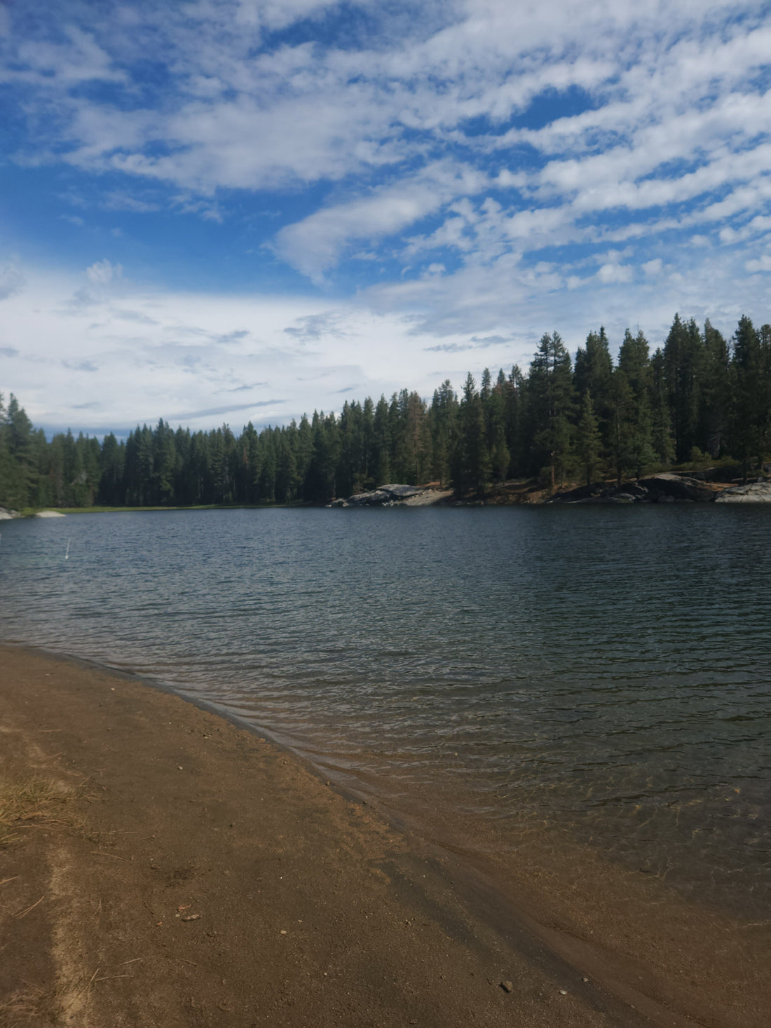 Mindfulness in Nature