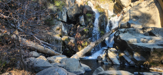 Finding Mental Clarity on Outdoor Trails: The Path to Wellness