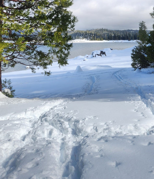 The Transformative Power of Snow Sunbathing